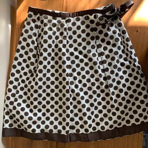 Ann Taylor Polka Dot Skirt
